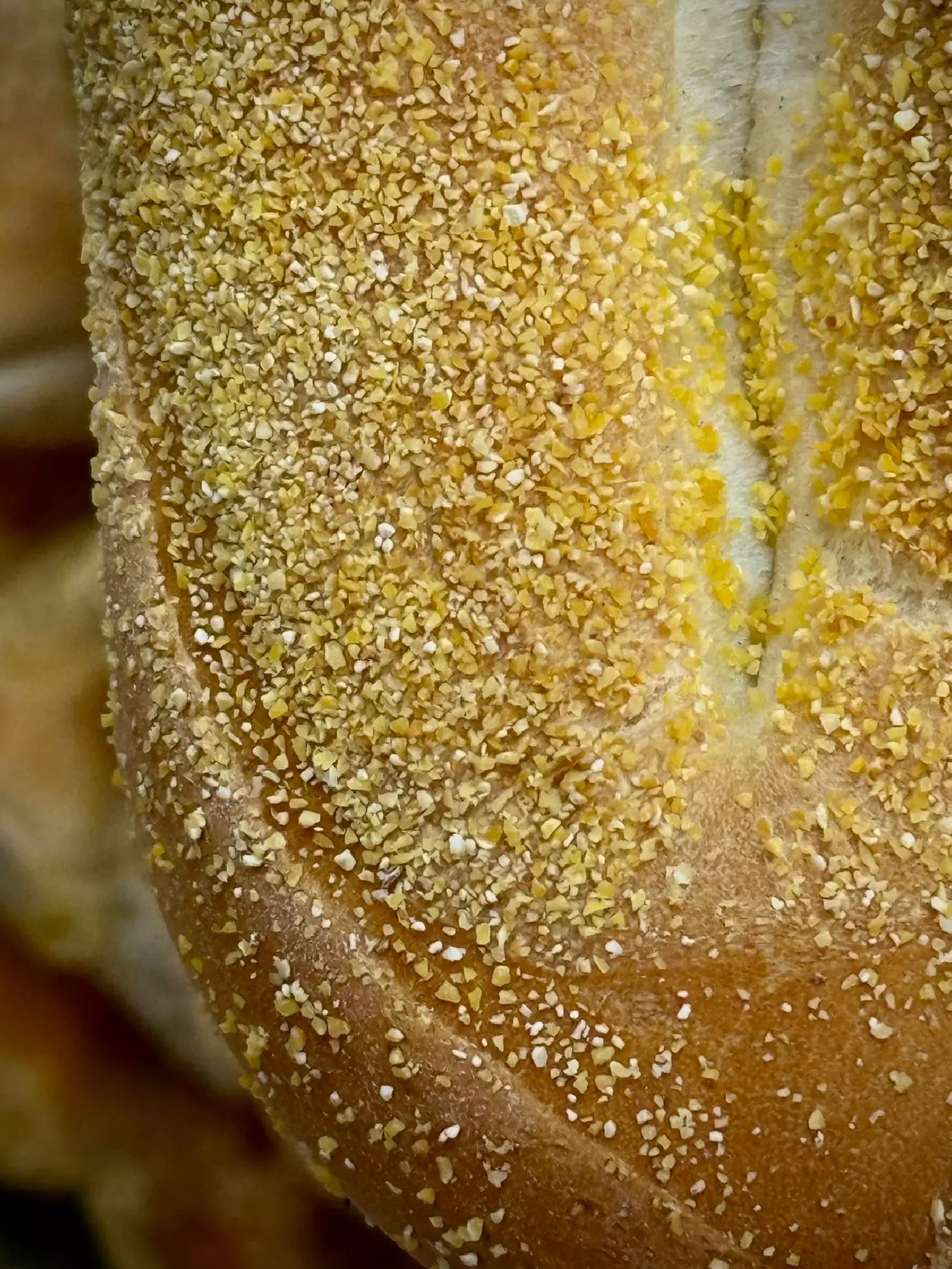 MACRO-04